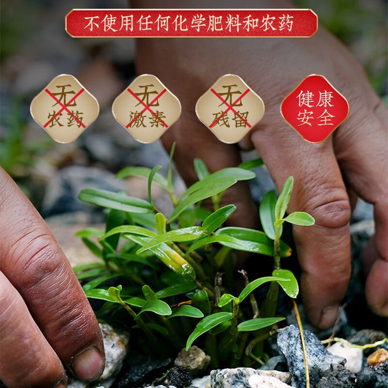 别山斛霍山米斛10g 正宗安徽霍山六年龙头凤尾米斛送礼长辈父母养生礼物 霍山米斛 100g