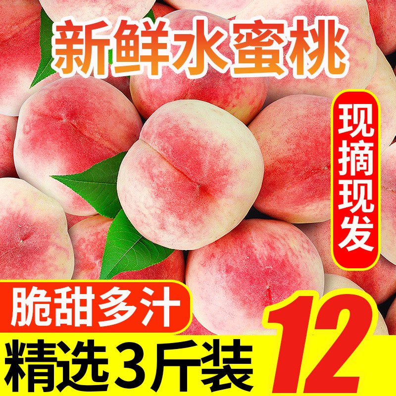 壹农壹果山西水蜜桃 毛桃 当季时令新鲜蜜脆甜桃子水果 现摘现发 精选3斤装 单果65mm