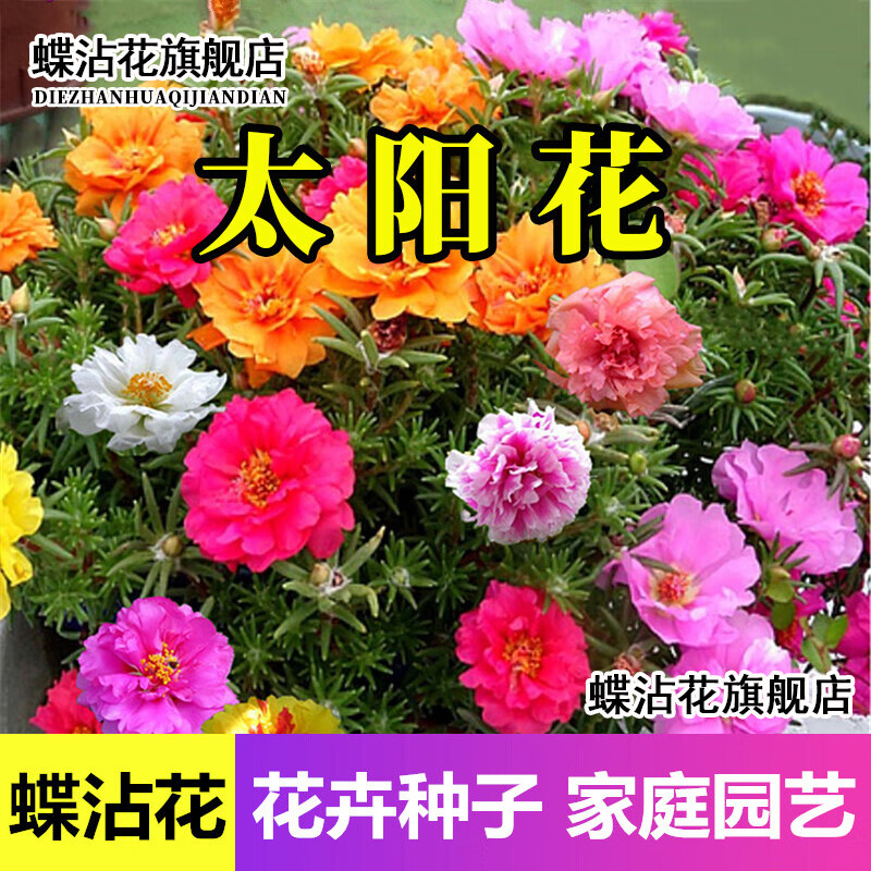 花草林木类怎么才能买到最低价|花草林木类价格比较