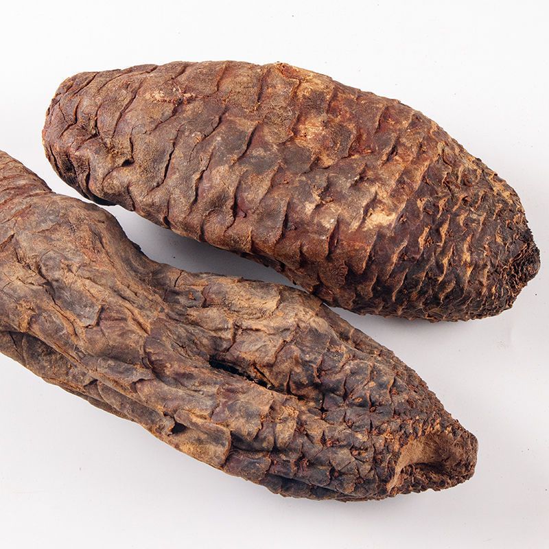 肉苁蓉新疆肉苁蓉片肉苁蓉粉大芸金锁阳男性滋补泡酒泡茶 整根肉苁蓉