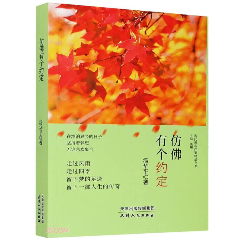 当代著名作家精品书系：仿佛有个约定