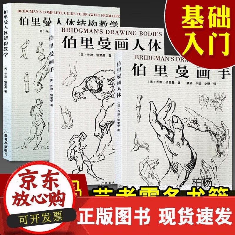 速发 伯里曼人体结构教学全3册画手画人体