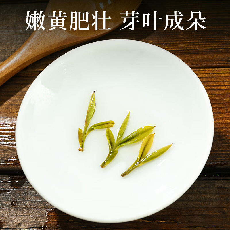 徽将军2024新茶霍山黄芽茶叶绿茶明前特级大化坪春茶黄茶送人礼盒装200g