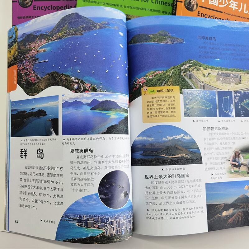 中国少年儿童大百科 全套共4册 动物 恐龙 海洋 地球 儿童趣味百科全书详情图