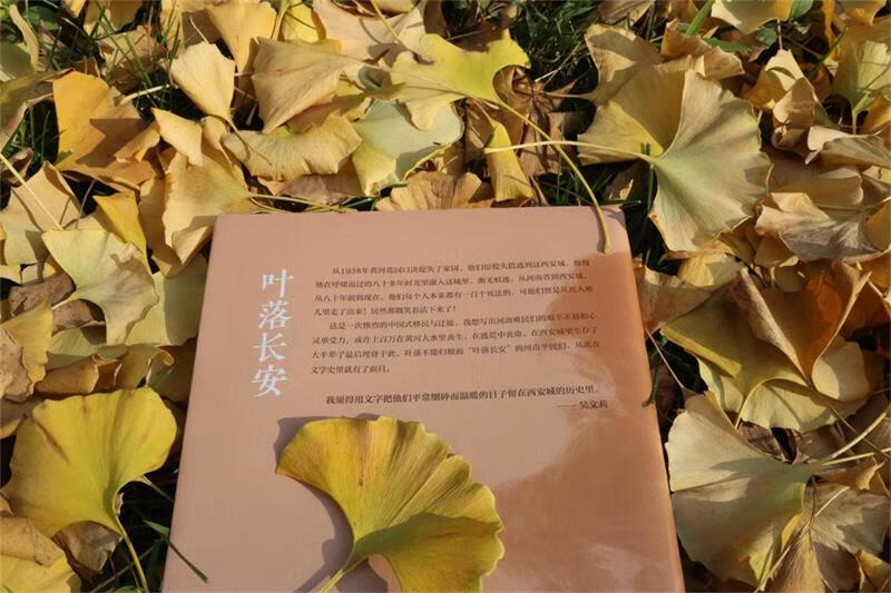 叶落长安(增订本)