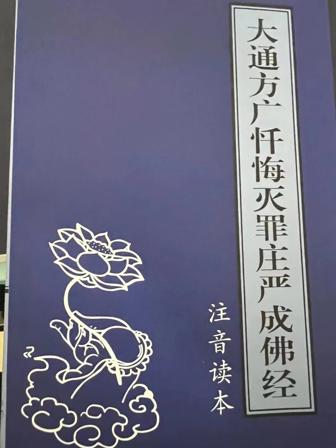 圣大解脱经  注音版