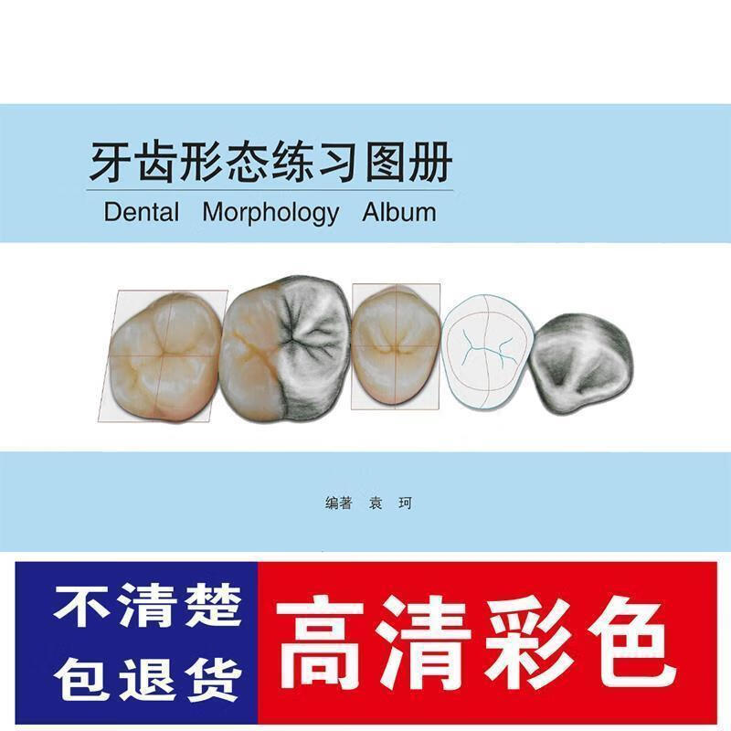 牙齿形态练习 画牙 雕牙练习