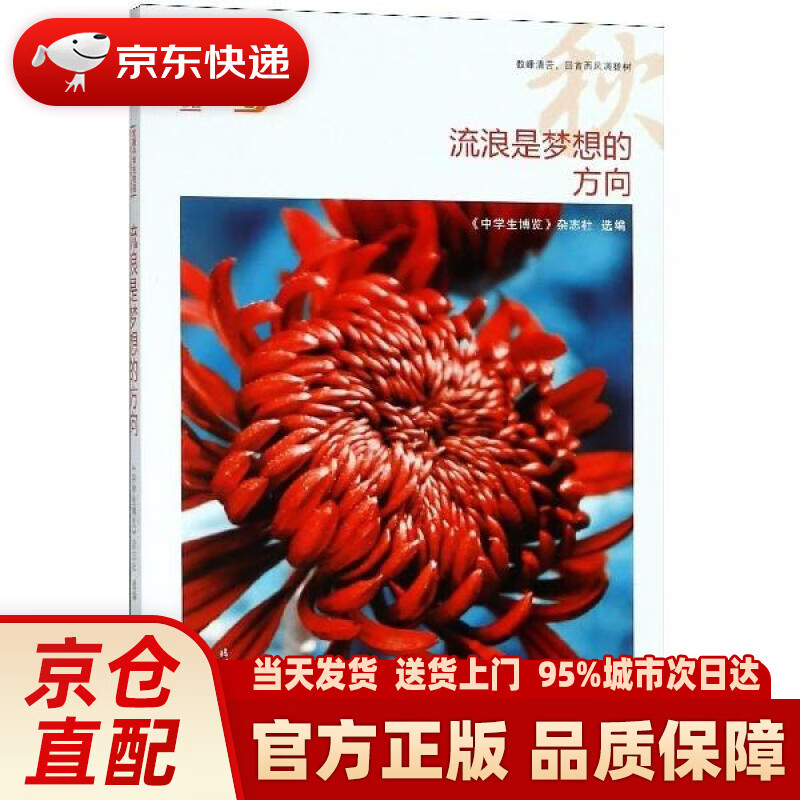 我的青春我的梦:流浪是梦想的方向