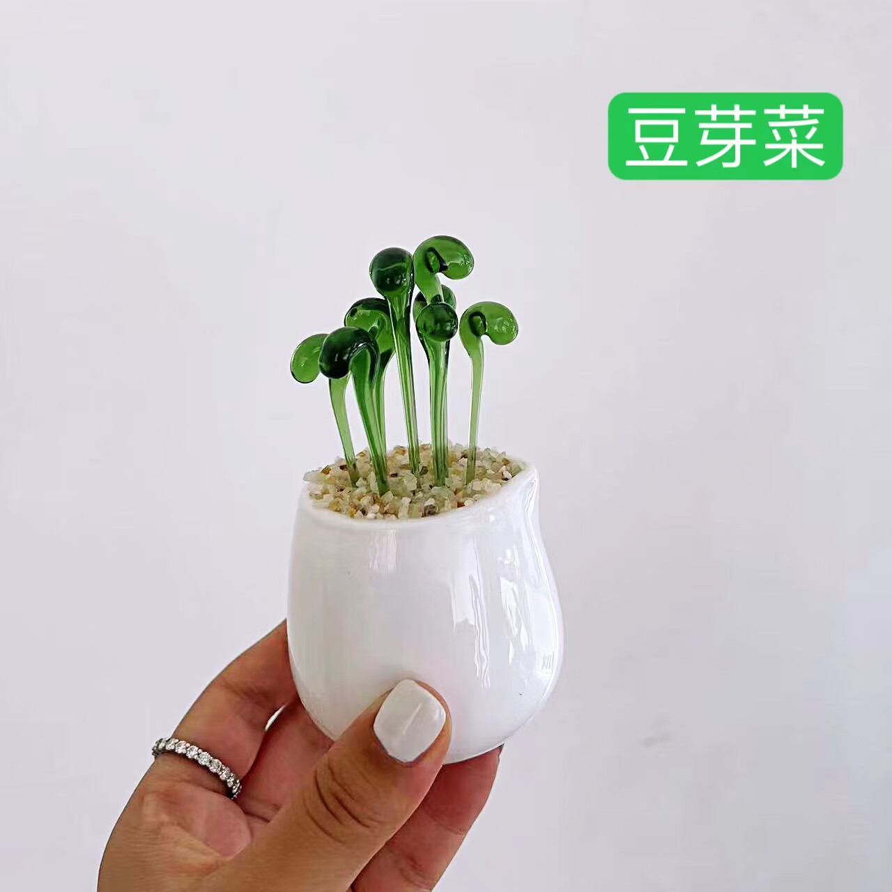 品淄博小摆件饰品山东手工多肉盆栽办公室宿舍花朵工 【绿色豆芽菜】
