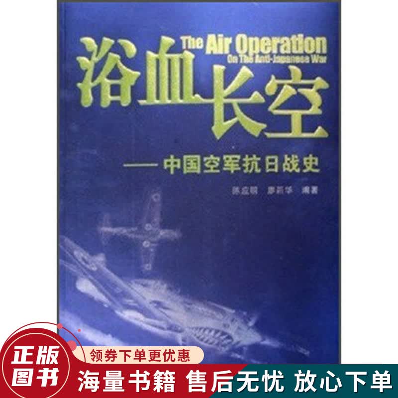 浴血长空：中国空军抗日战史
