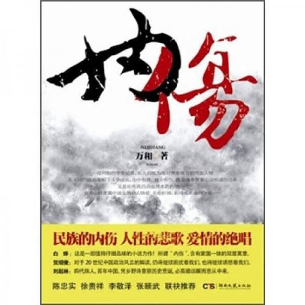 内伤9787540449698湖南文艺出版社
