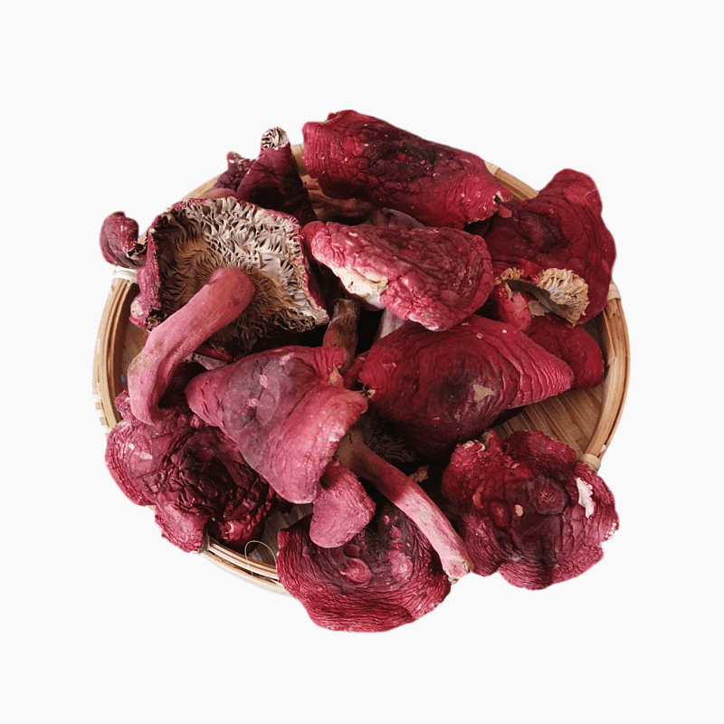 巢浩正宗红菇广西红椎菌天然半开伞大红磨菇土特产干货30g