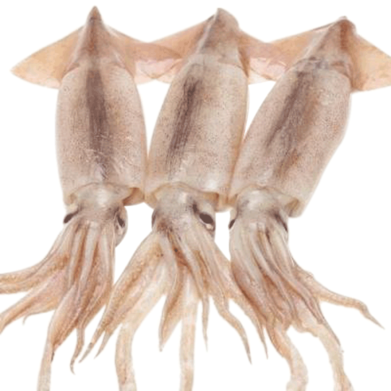 ں4 ԭ䶳ǹ  2kg()