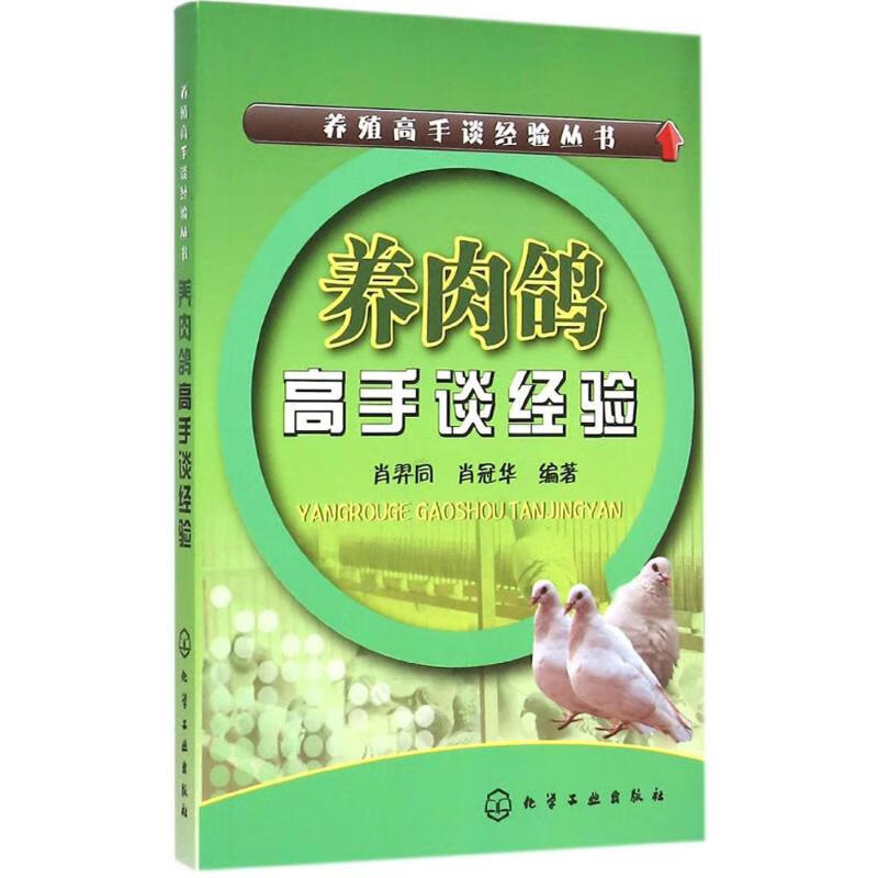 养肉鸽高手谈经验