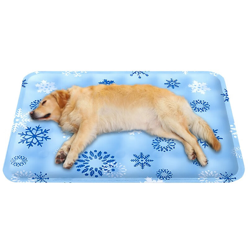 猫狗窝网购商品历史价格查询|猫狗窝价格走势图