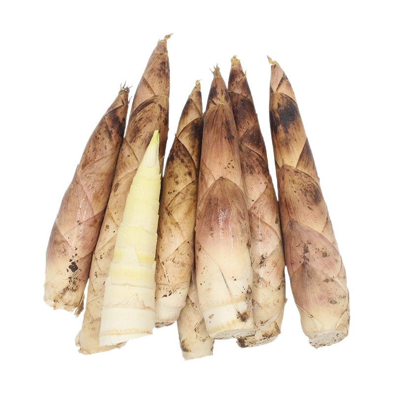 娇娇家的果园四川春笋蒲江雷笋新鲜现挖鲜竹笋现挖蔬菜加冰袋去老头发货 圆通四川雷笋5斤12到15根