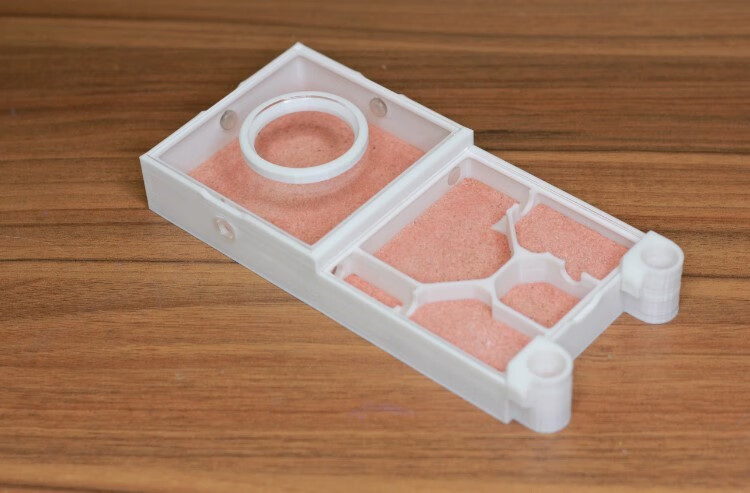 平面巢 猛蚁石膏巢亚克力3d打印蚁巢干湿分离饲养蚂蚁 平面巢m无 巢m