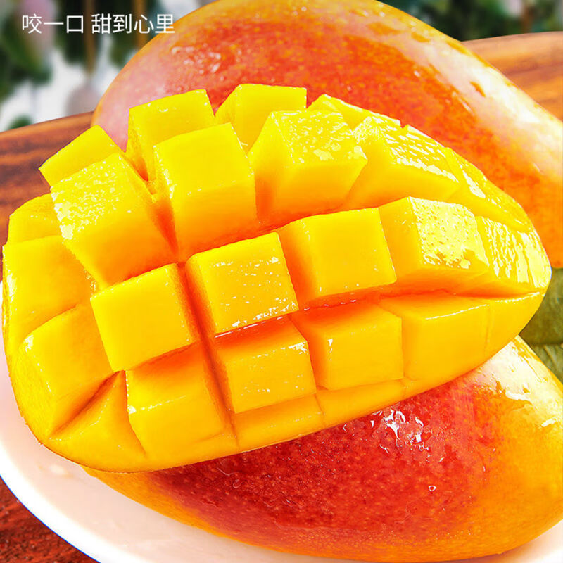 京蚨鲜海南三亚贵妃芒果新鲜水果礼盒当季现摘红金龙 带箱9.5-10斤中果【100-150克】净重9斤