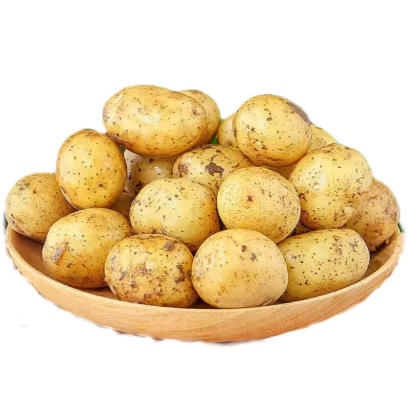 京地达栗贝诺 小土豆新鲜3.5斤(约3两) 蔬菜正宗土家特产马铃薯源头直发