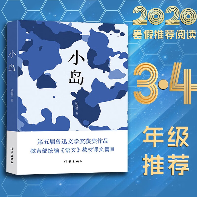 2020暑假阅读小学三四中年级 小岛 4升5年级适用陆颖墨作家出版社