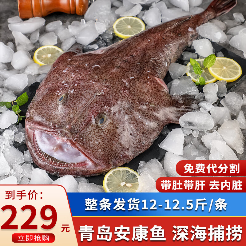 8斤-10斤 深海鱼丑鱼老头鱼海鲜鱼类 12斤-12.5斤/条