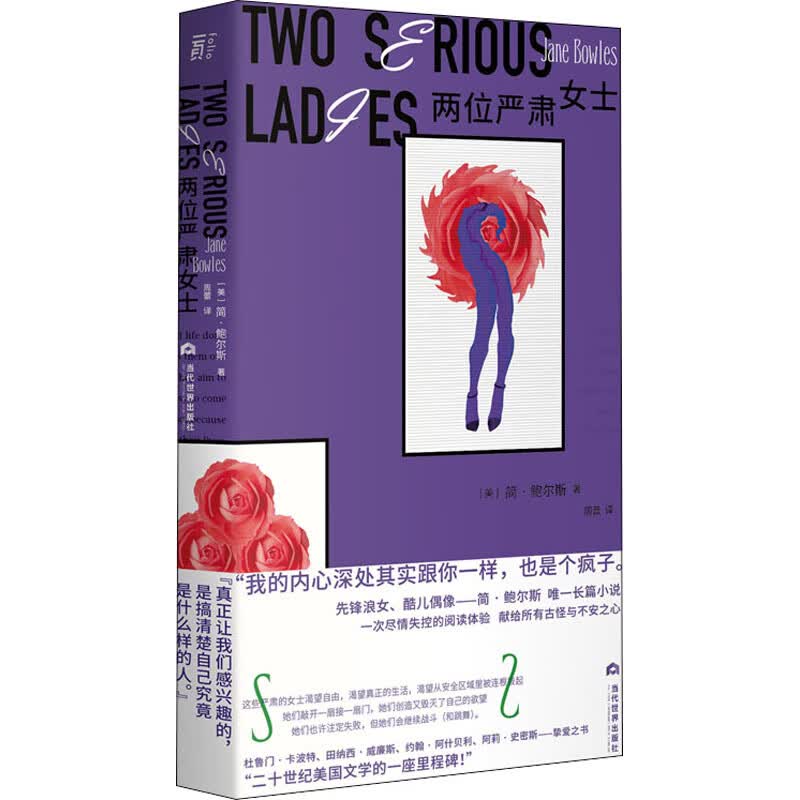 两位严肃女士 图书