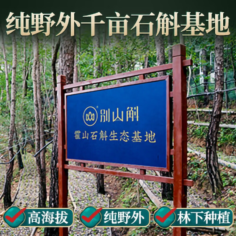 别山斛 正宗霍山五年生长铁皮石斛枫斗一斤装 送礼长辈父母爸妈养生礼物 霍山铁皮石斛500g送100g