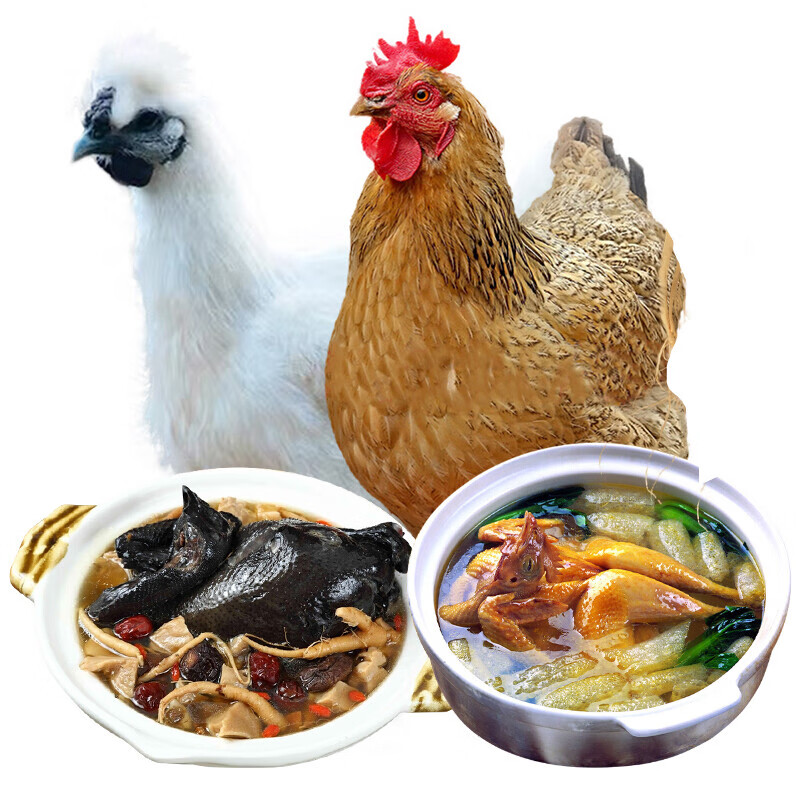 伯贤 生鲜新鲜 农家散养老母鸡 乌鸡 组合装生鲜1800克左右