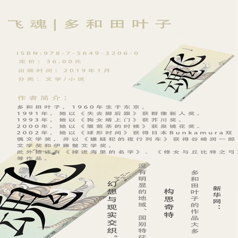 飞魂/金晓宇译