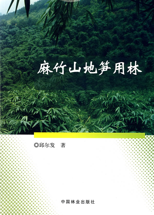 麻竹山地笋用林【上新】