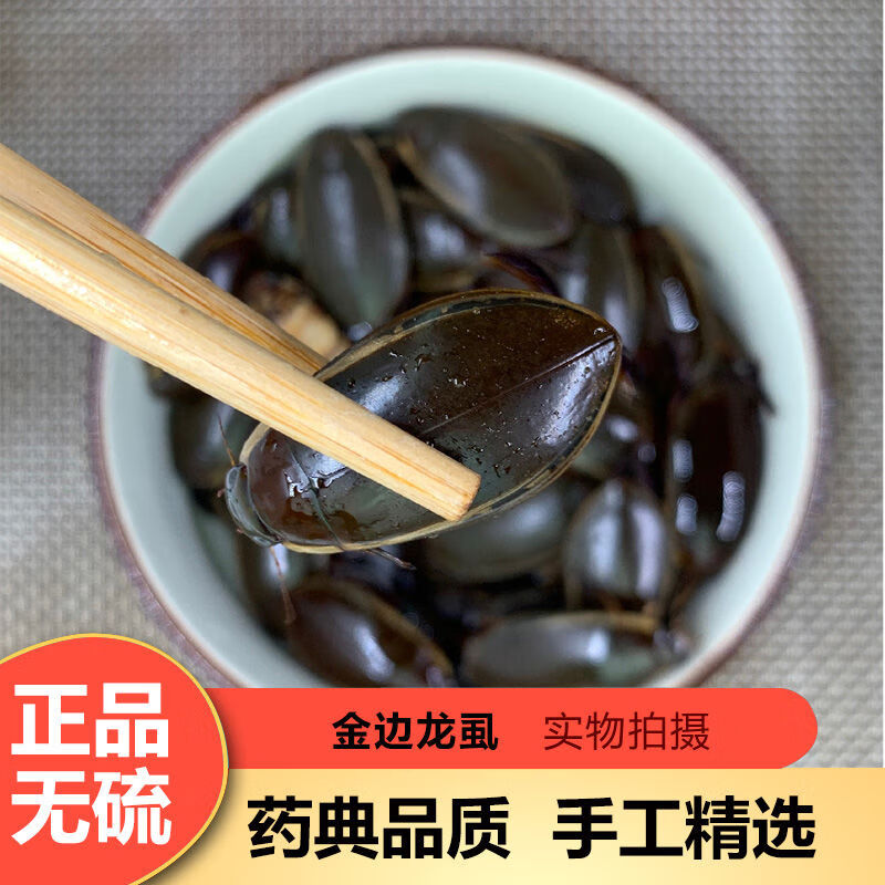 金边龙虱 中药材 50g 水蟑螂 水鳖虫 射尿龟 水龟子 50g