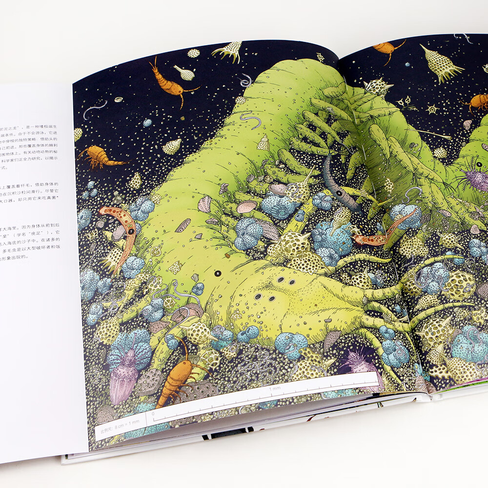 微观世界：谜一样的小生命（精装科普）2017年博洛尼亚国际童书展非虚构类“特别推荐奖”详情图