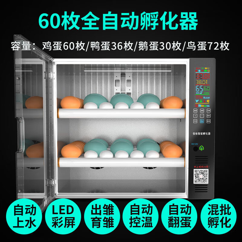 小鸡孵化器 鸽子孵化机智能小型孵蛋器迷你家用型全自动鸭鹅孵化箱 60