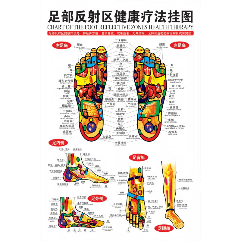 足部反射区挂图足底足疗按摩好处图片经络穴位图图解中医养生海报中医