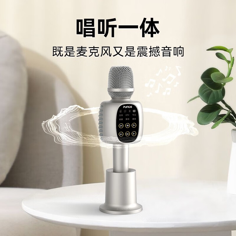 Punos/博浪沙【性价比高】40W双喇叭户外k歌麦唱歌话筒音响一体麦自带声卡TWS蓝牙手机录歌无线麦克风 KG6 尊享版【收纳包+豪礼】