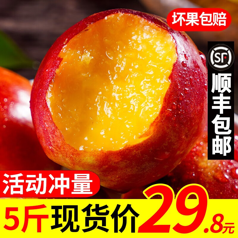 【顺丰】甜果源 新鲜现摘油桃 净重5斤装 大果 脆甜黄肉桃子 新鲜水果 5斤装