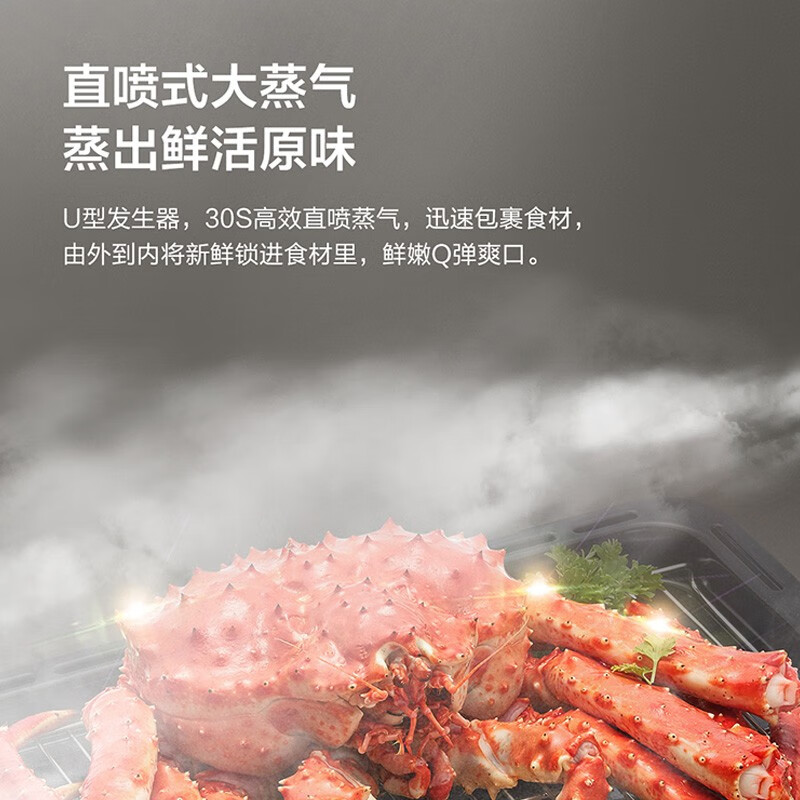 松下（Panasonic）家用电烤箱 蒸烤箱 蒸烤一体 热风烘焙 多功能蒸烤箱NU-JA102W