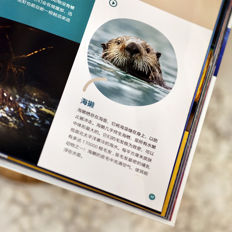 神奇动物园：写给孩子的海洋动物大百科详情图