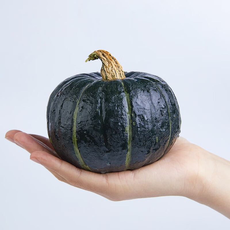 张小壮 贝贝南瓜 精选栗香老南瓜 惠和板栗小南瓜 新鲜蔬菜香甜软糯  精选3斤 3斤 单个300g以上