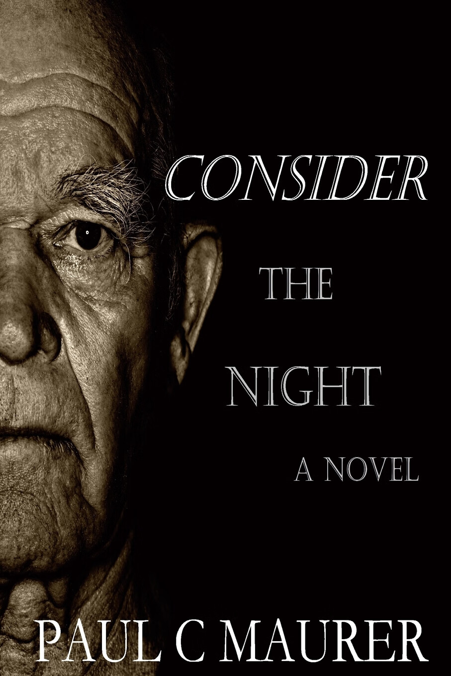 【预售 按需印刷】consider the night