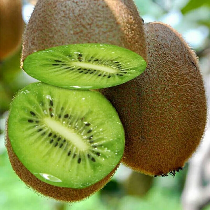 【徐香】陕西绿心猕猴桃当季新鲜水果整箱孕妇水果奇异果3/5斤装 3斤