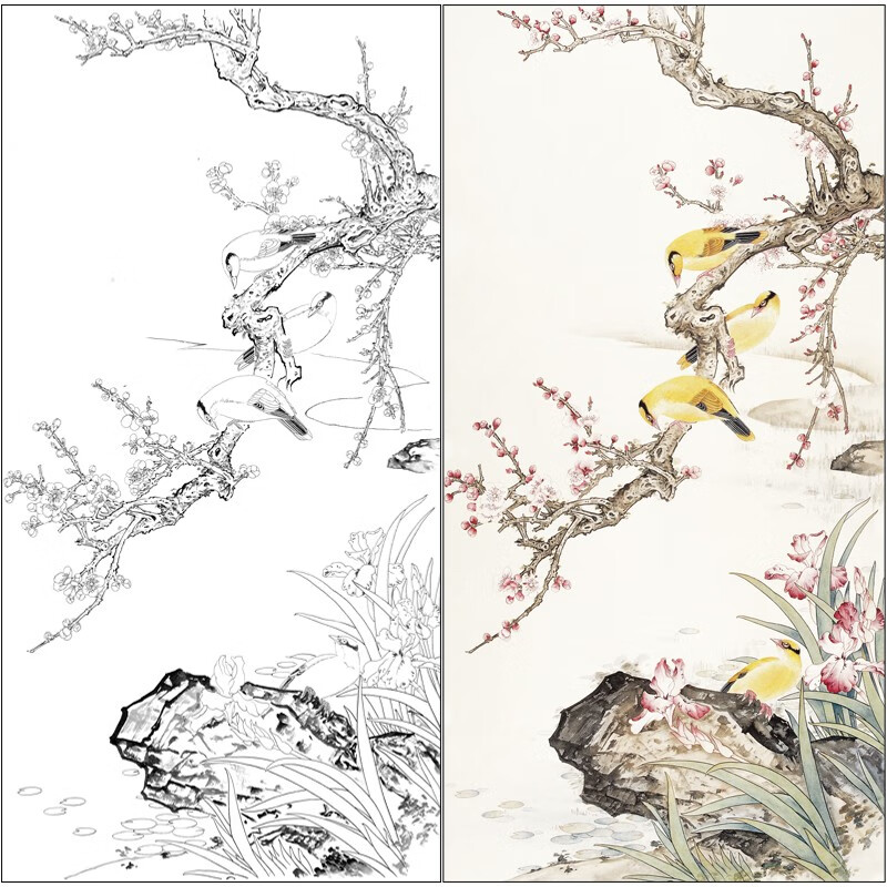 陈军工笔画白描底稿梅花黄鹂四尺原作大小66×132厘米花鸟线稿带a3