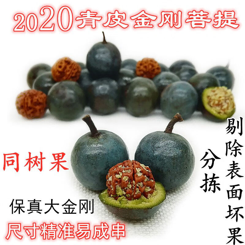 新鲜青皮金刚菩提籽 男女手链手串原籽爆肉四五六七多瓣红黄皮 25mm