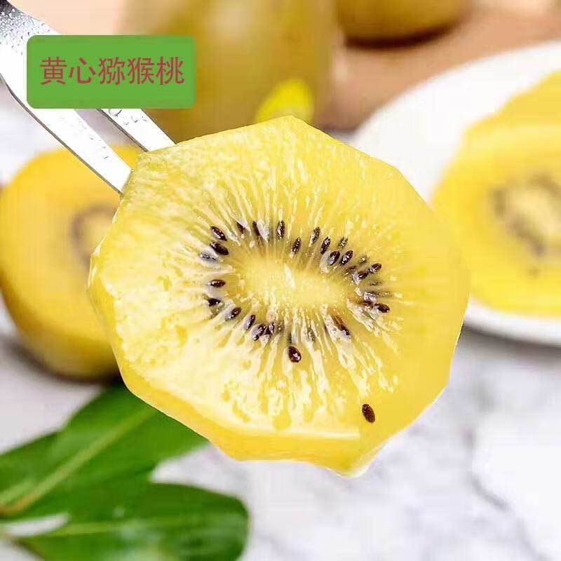 当季新鲜四川黄心猕猴桃黄色黄金水果奇异果整箱团建送礼生鲜 12个装