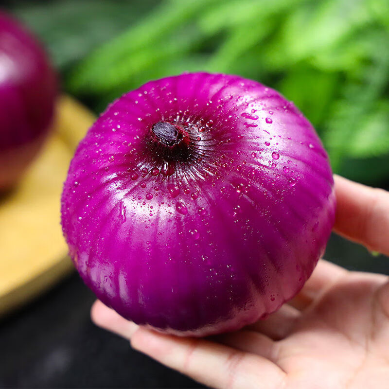 红皮洋葱5斤精选圆葱蔬菜批发3斤根茎类