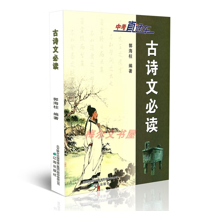 【只售正版】中考直通车古诗文记叙议论说明积累运用文言诗文课外文言文 古诗文必读（2022.9） 初中通用