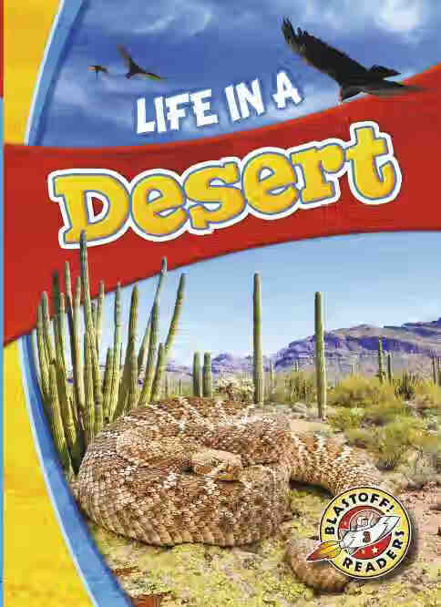 预售 按需印刷 Life in a Desert