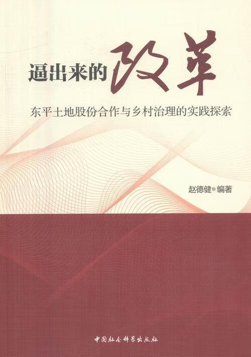 逼出来的改革-土地股份合作与乡村治理的实践探索 赵德建 中国社会