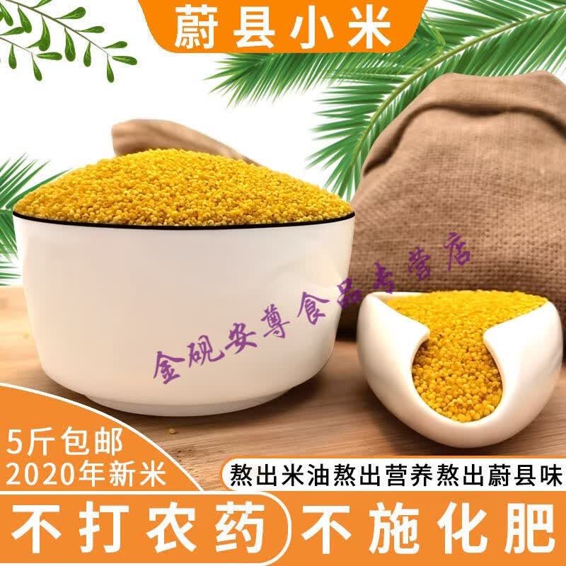 维霆河北张家口特产蔚县花农家黄小米小黄米新米蔚州小米粥 新小米 2