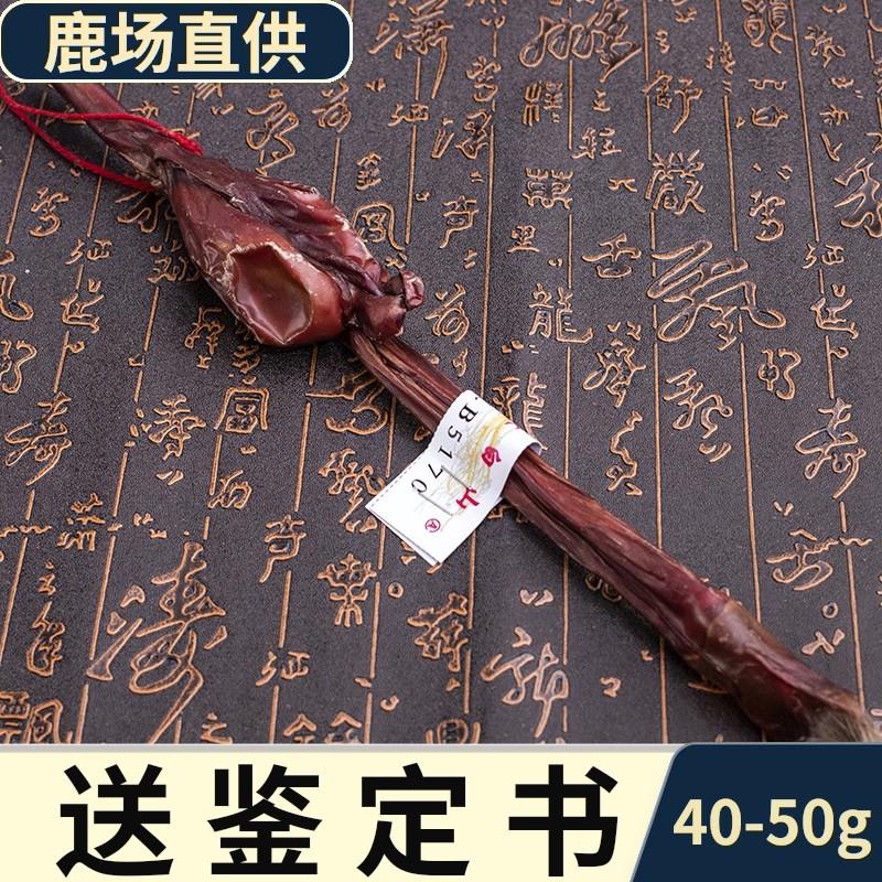 【官方旗舰】整枝鹿鞭干新鲜泡酒料药材整根【优选 图片色